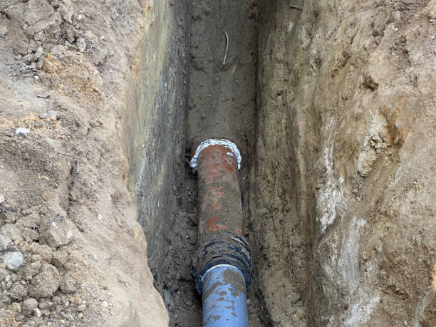 Best 24/7 water damage repair  in Lineville, AL