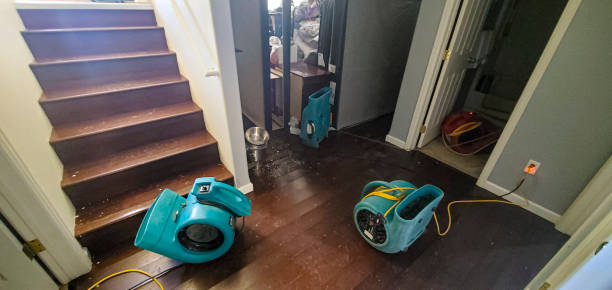 Best Flood damage cleanup  in Lineville, AL