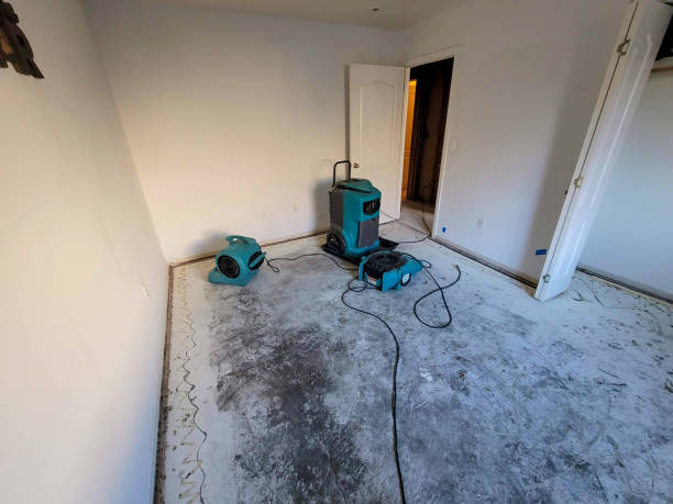 Best Flooded house restoration  in Lineville, AL