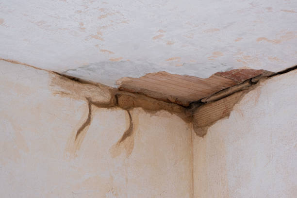 Best Emergency water damage restoration  in Lineville, AL