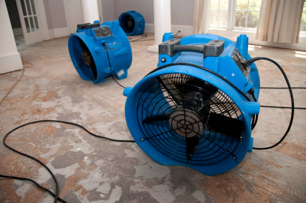 Best 24-hour water damage restoration  in Lineville, AL