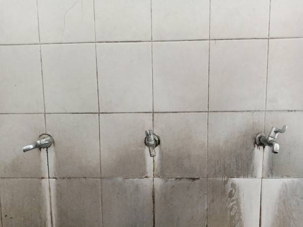 Best Water damage restoration near me  in Lineville, AL