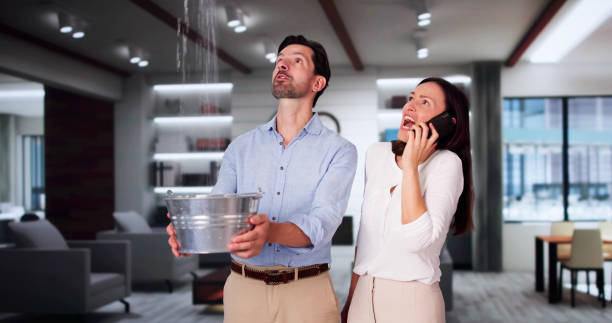 Best Flooded house restoration  in Lineville, AL