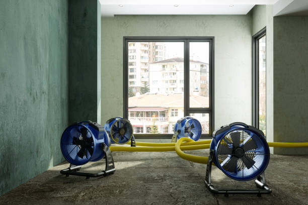 Best Residential water damage restoration  in Lineville, AL