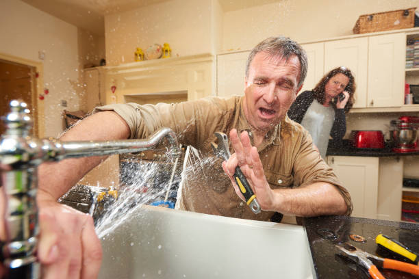 Best Professional water damage repair  in Lineville, AL